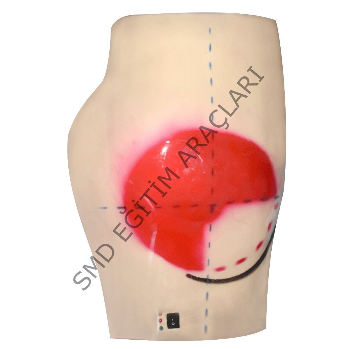 ELEKTRONİK KALÇA İNTRAMUSKÜLER ENJEKSİYON SİMÜLATÖRÜ