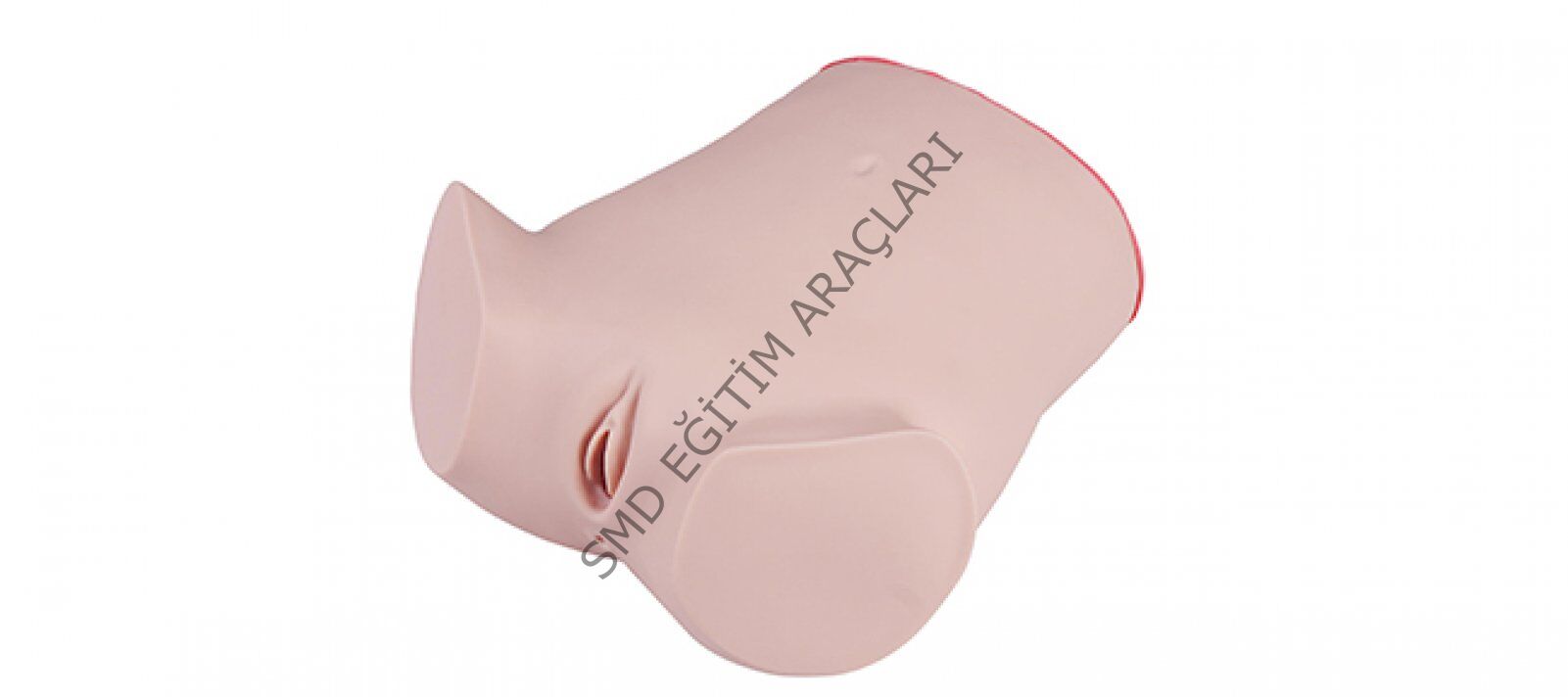 VAJİNAL MUAYENE EĞİTİM SİMÜLATÖRÜ