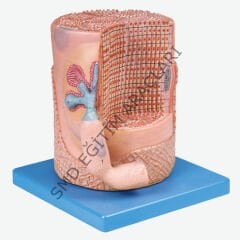 KAS LİFİ MODEL MAKETİ