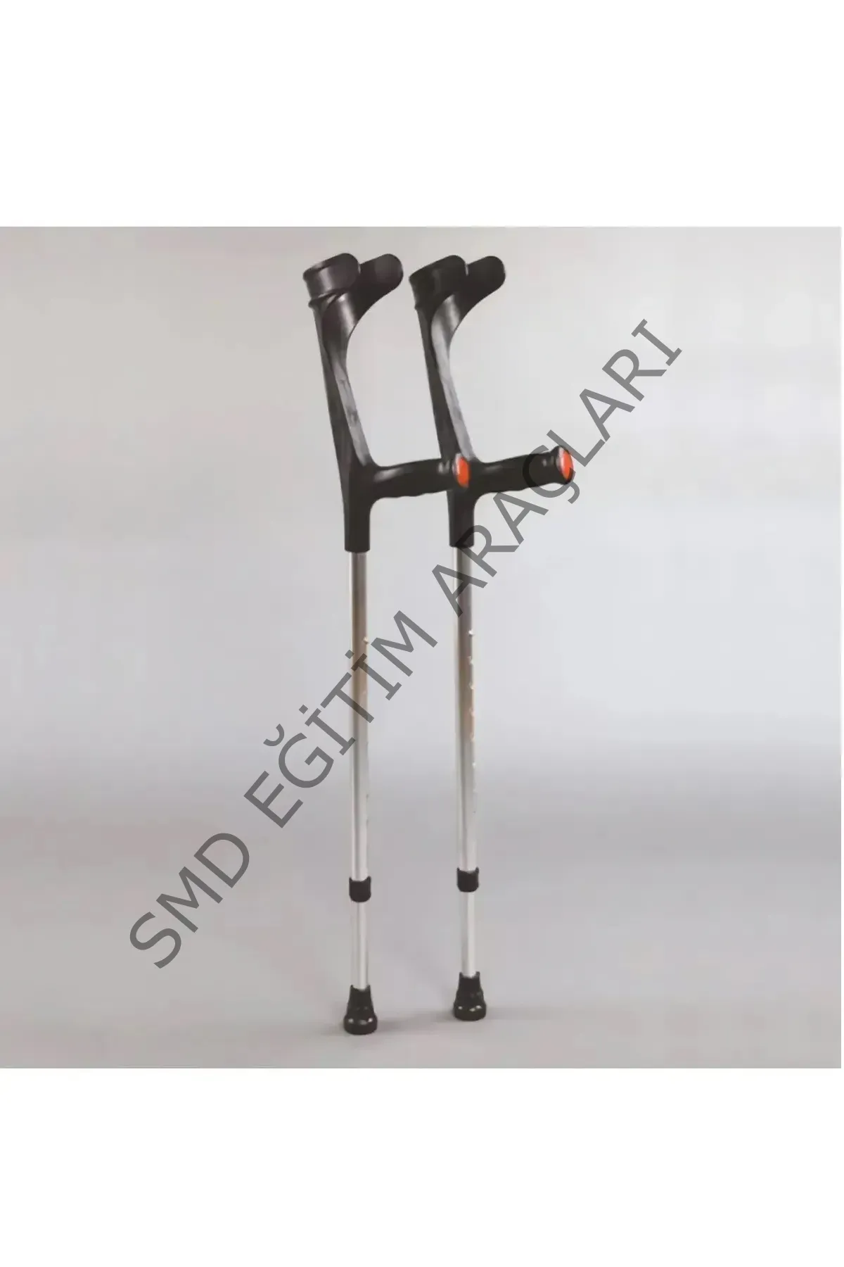 KOLTUK DEGNEĞİ KANEDYEN