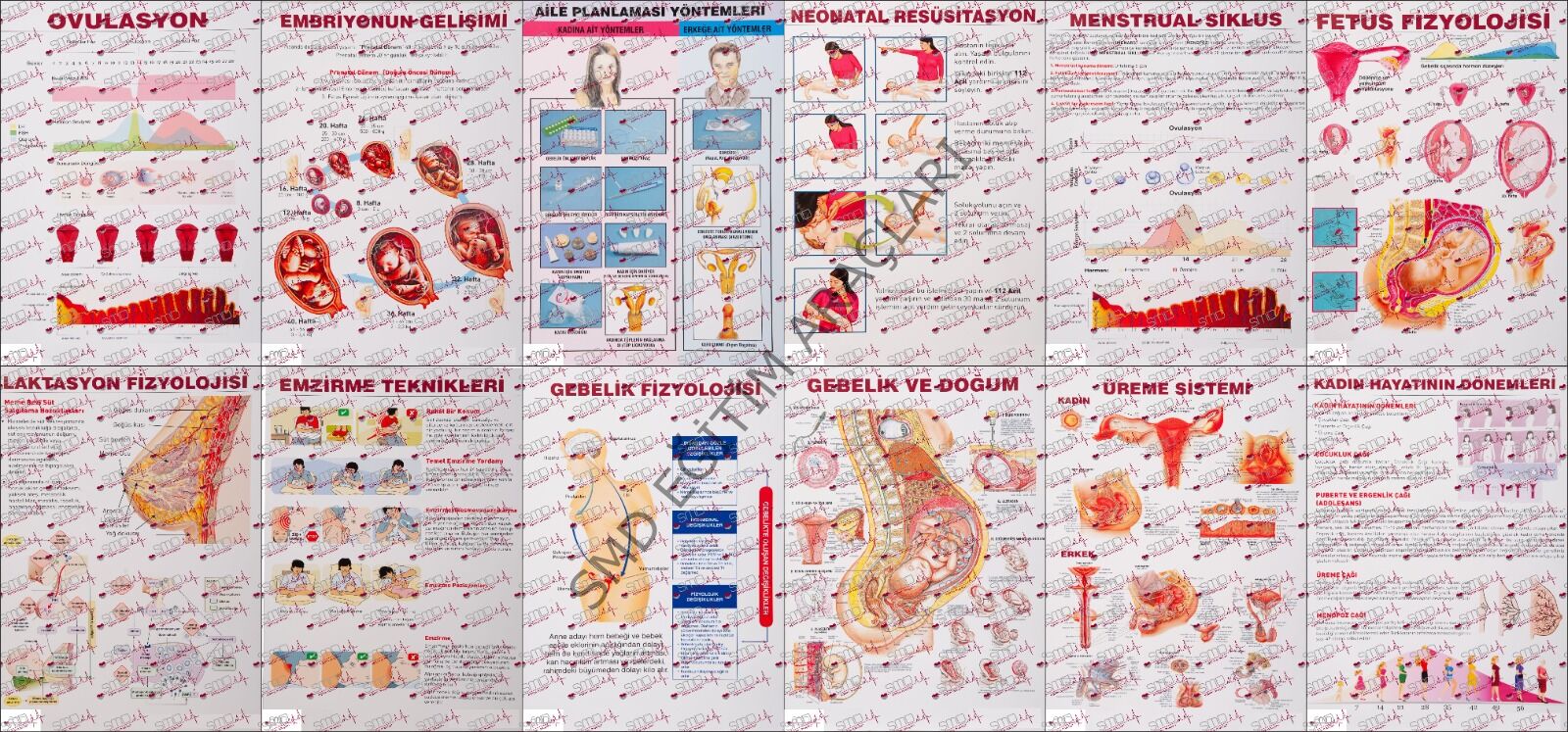 Gebe Bilgilendirme Afiş Eğitim seti 12 adet 50*70