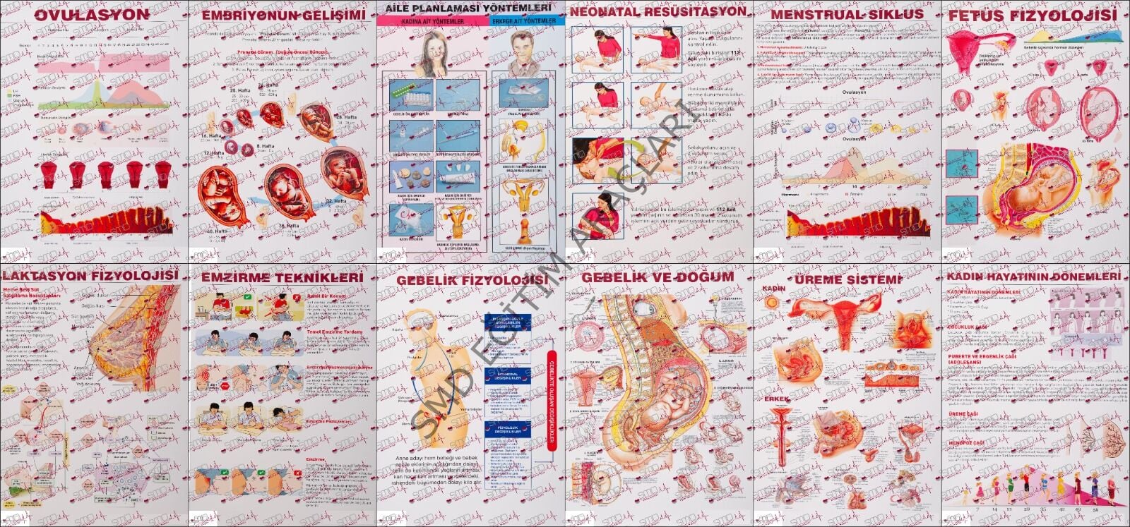 Gebe Bilgilendirme Afiş Eğitim Seti 70* 100