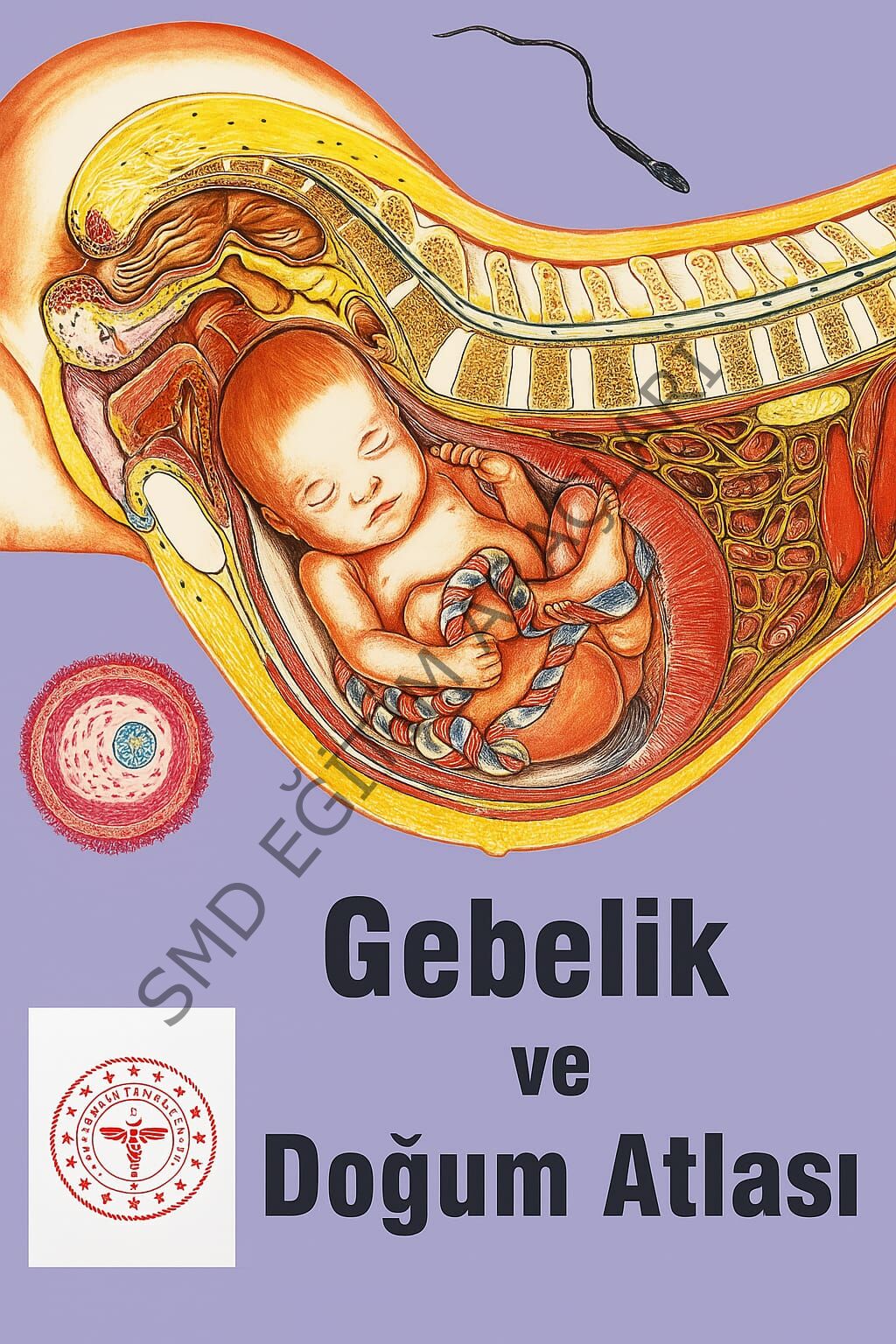 Gebelik Ve Doğum Atlası