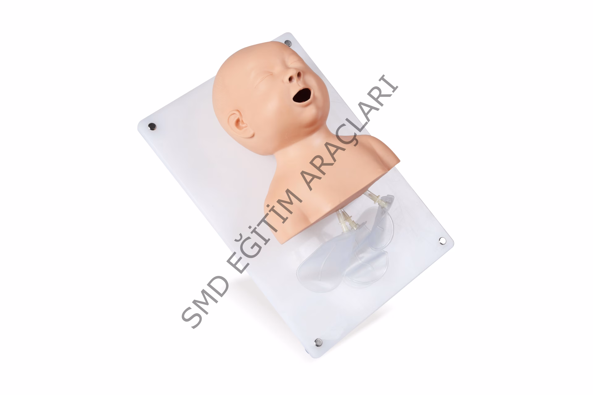 Bebek Endotrakeal Entübasyon Modeli